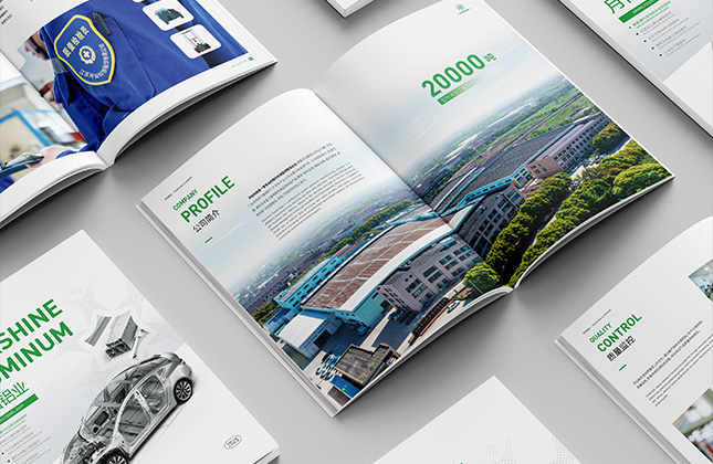 常州月仙集团铝型材产品册设计和印刷