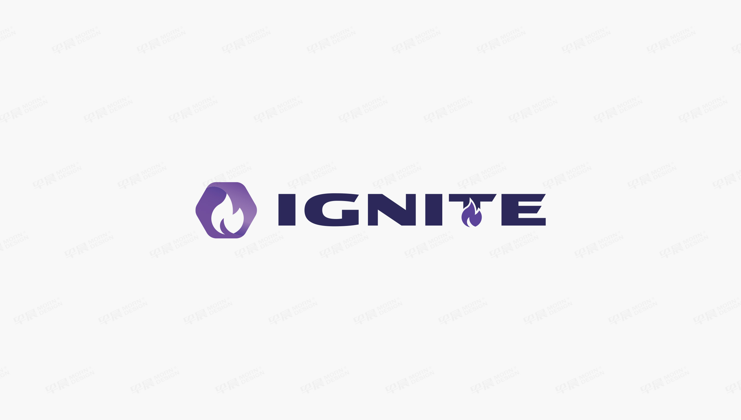 Logo设计,IGNITE,意格耐特,品牌Logo设计,Logo制作,苏州,设计公司,制作公司