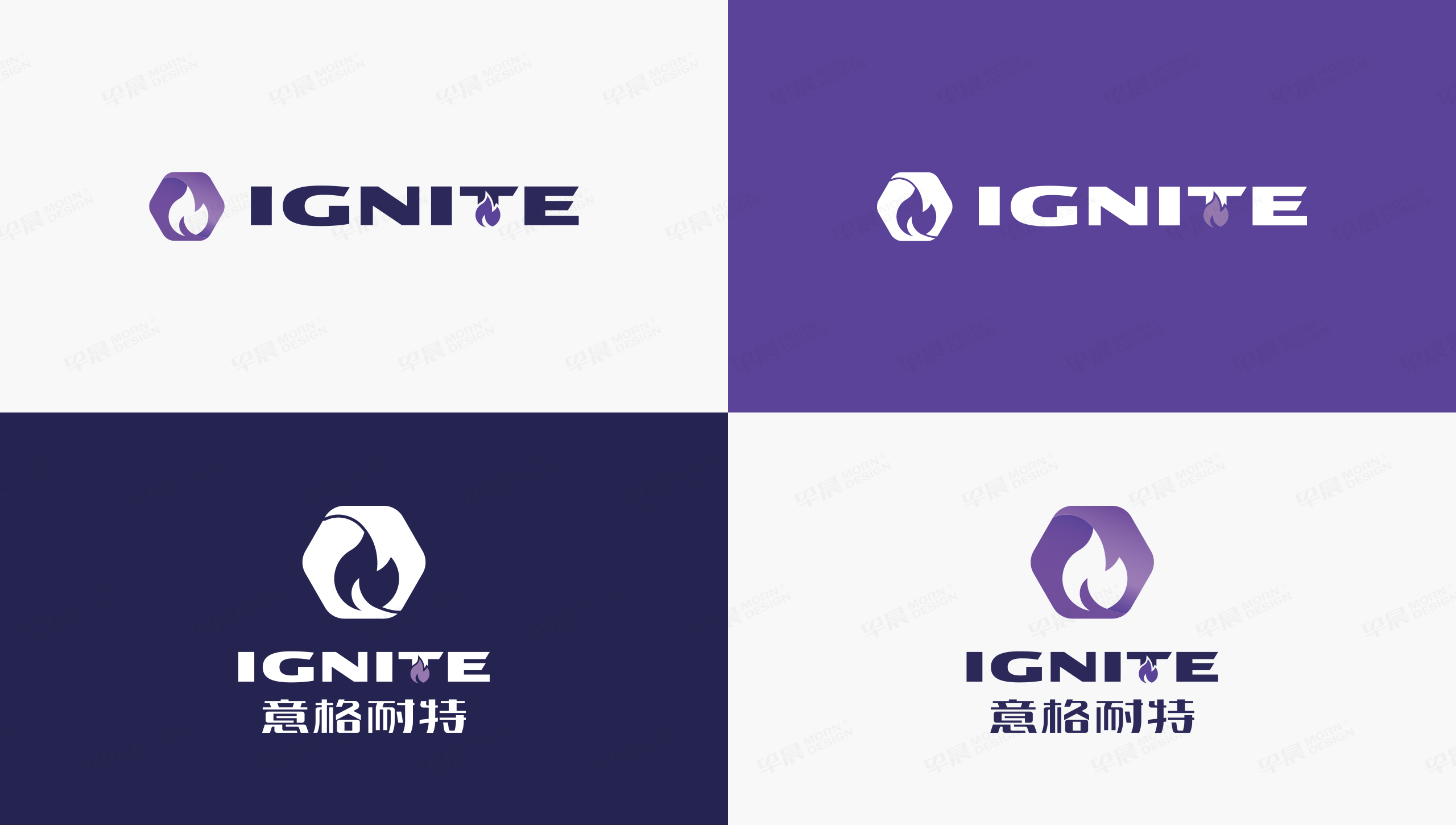 Logo设计,IGNITE,意格耐特,品牌Logo设计,Logo制作,苏州,设计公司,制作公司